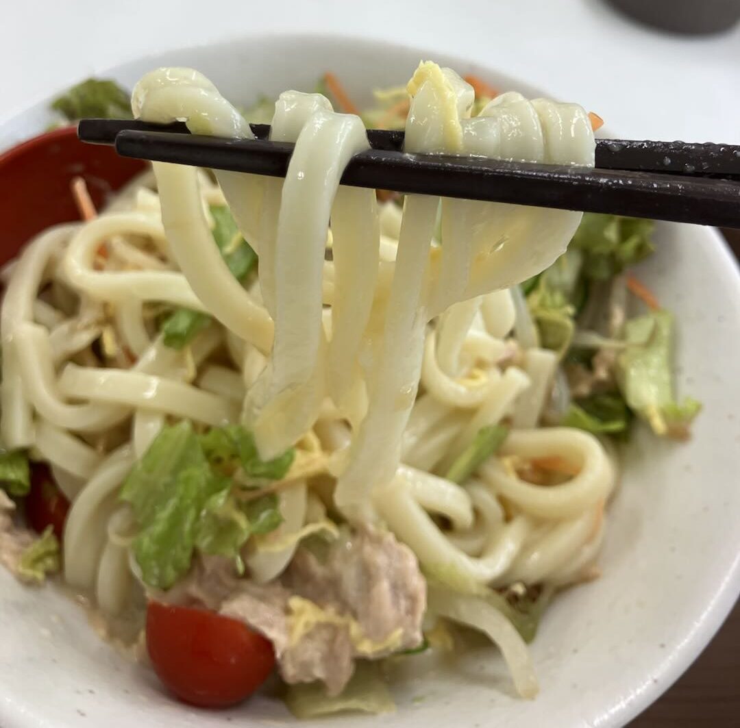 冷やしサラダうどん3