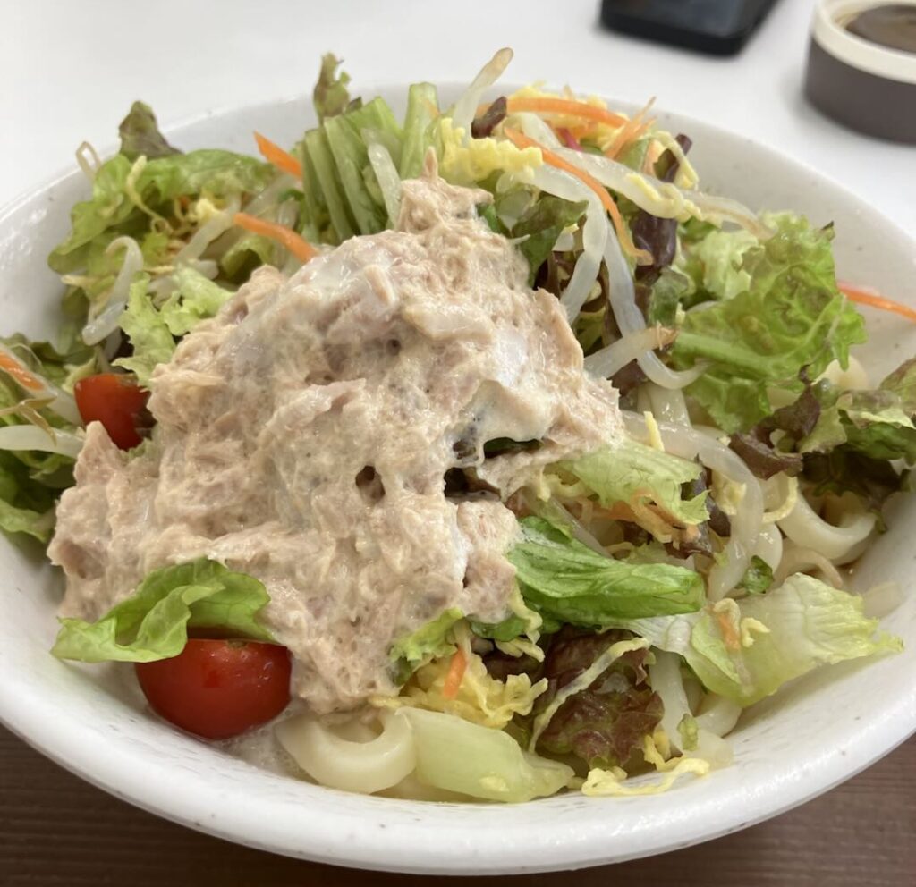 冷やしサラダうどん1