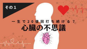 心臓の不思議その１　一生で20億回打ち続ける“いのちのリズム”