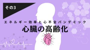 心臓の不思議その3　心臓のエネルギー効率と心不全パンデミック―「心臓の高齢化」とは？―