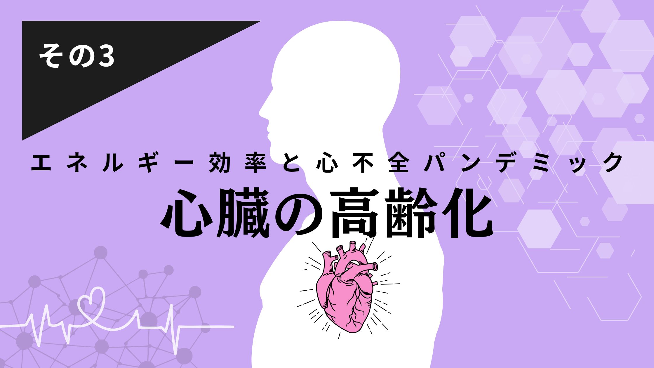 心臓の不思議その3　心臓のエネルギー効率と心不全パンデミック―「心臓の高齢化」とは？―