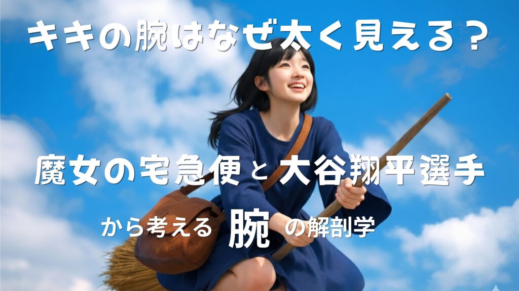 キキの腕はなぜ太く見える？魔女の宅急便と大谷翔平選手から考える「腕」の解剖学