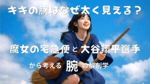 キキの腕はなぜ太く見える？魔女の宅急便と大谷翔平選手から考える「腕」の解剖学