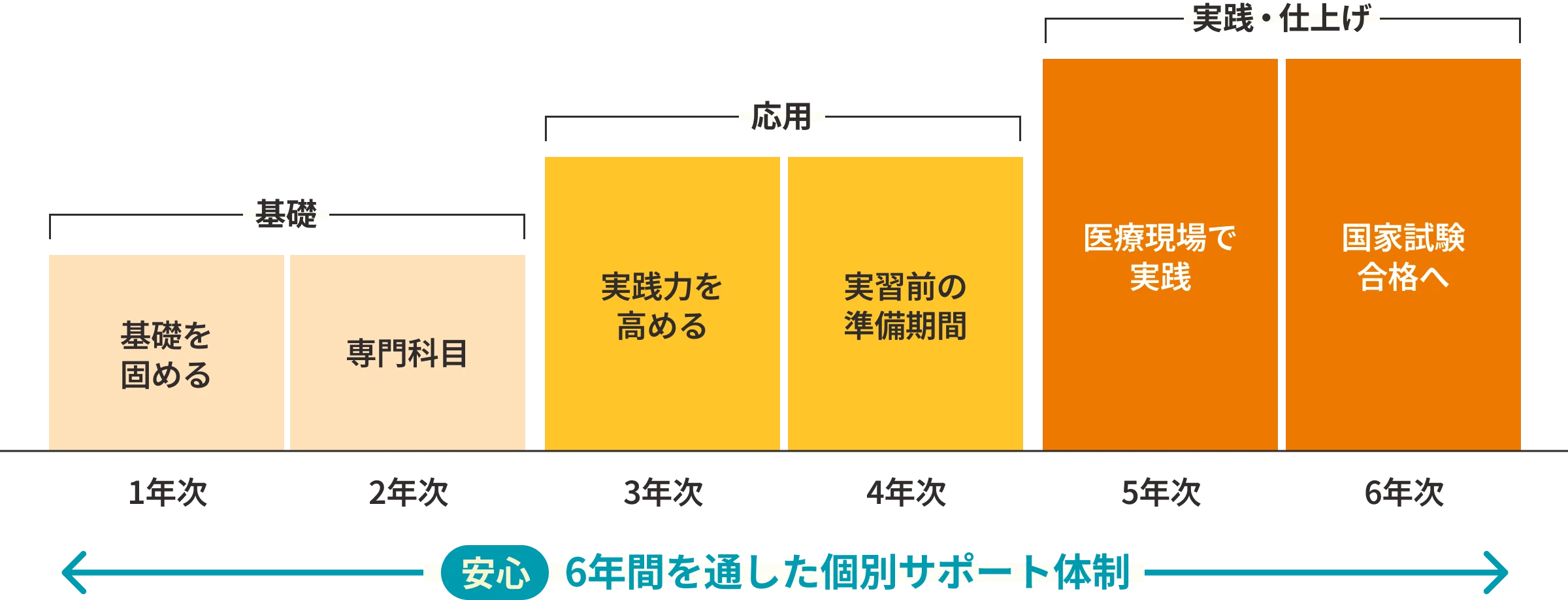 1年次から6年次までの個別サポート体制